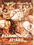 Északnyugati átjáró
