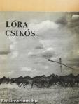 Lóra csikós