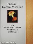 Egy előre bejelentett gyilkosság krónikája