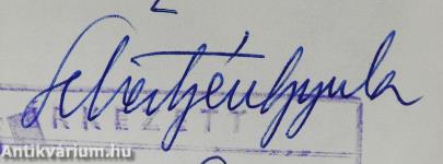 Építőipar IV. (dedikált példány)