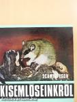 Kisemlőseinkről