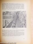 A hódmezővásárhelyi Bethlen Gábor Gimnázium Évkönyve 1974