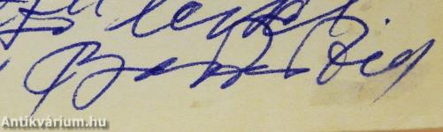 Rovások az idő mestergerendáján (dedikált példány)