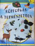 Körforgás a természetben