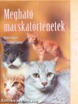 Megható macskatörténetek