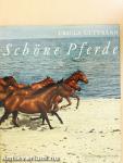 Schöne Pferde