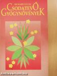 Csodatevő gyógynövények