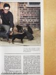 A dobermann
