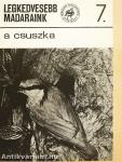 A csuszka