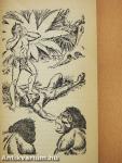 Tarzan a fenevadak élén
