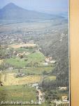 Balatoni borok