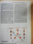 Az immunológia élettani és molekuláris alapjai