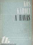 A havas