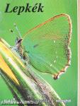 Lepkék
