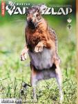 Magyar Vadászlap 2014. március