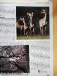 Magyar Vadászlap 2012. szeptember