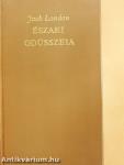 Északi Odüsszeia