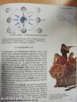 Isaac Newton és a gravitáció