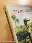 Tiere der Urzeit