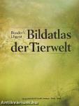 Bildatlas der Tierwelt