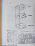 The Odd Yearbook 1995