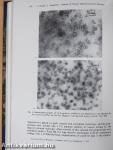 Acta Biochimica et Biophysica 1972.