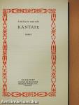 Kantate/A mester