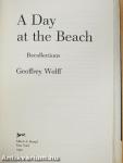 A Day at the Beach