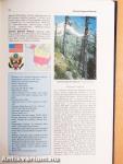 Magyar Nagylexikon I-XIX./Kronológia I-II. (nem teljes sorozat)