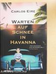 Warten auf Schnee in Havanna