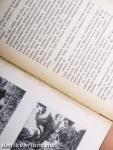 "15 kötet a Világjárók - Utazások és kalandok sorozatból (nem teljes sorozat)"
