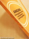 Angol feladatgyűjtemény a középfokú nyelvvizsgához
