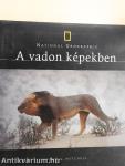 A vadon képekben