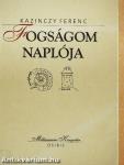 Fogságom naplója