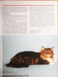 Das Grosse Katzenbuch