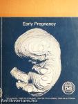 Early pregnancy