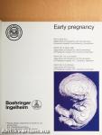 Early pregnancy