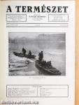 A Természet 1935. január-december