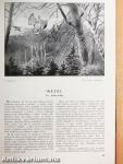 A Természet 1935. január-december