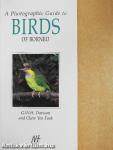 A Photographic Guide to Birds of Borneo