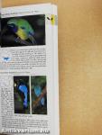 A Photographic Guide to Birds of China and Hong Kong