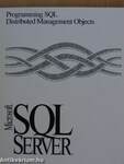 Microsoft SQL Server Version 6.0