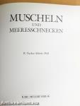 Muscheln und Meeresschnecken