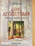Láng az őszutóban