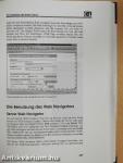 Lotus Notes & Domino 4.6