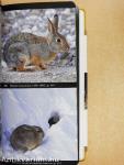 National Audubon Society Field Guide to North American Mammals
