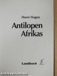 Antilopen Afrikas