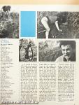 PIF Vaillant 29. Décembre 1963