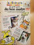 Astrapi 15. Novembre 1999