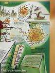 Astrapi 15. Février 1999